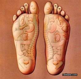 Therapeutic Reflexology: the practice of applying 