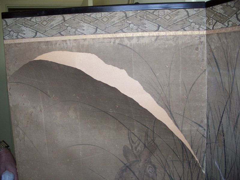 Close-up of torn paper screen
