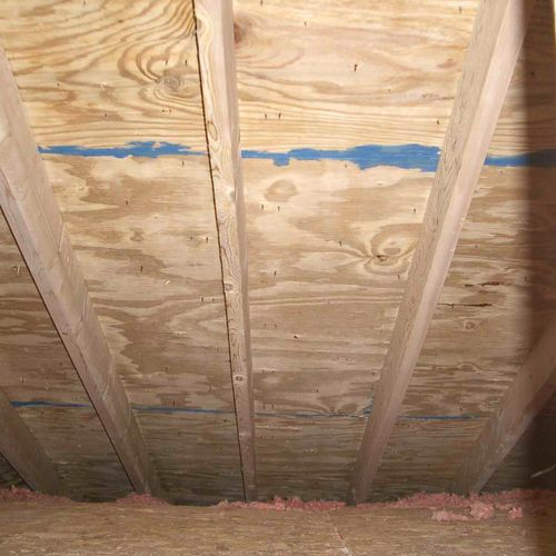 Typical Attic Mold AFTER Proprietary Treatment