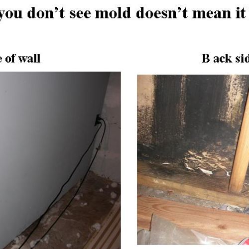 You may not know that you have mold