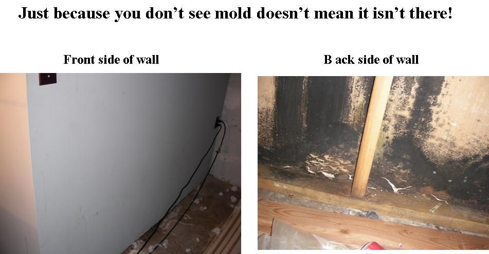 You may not know that you have mold