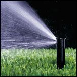 We install and repair sprinklers