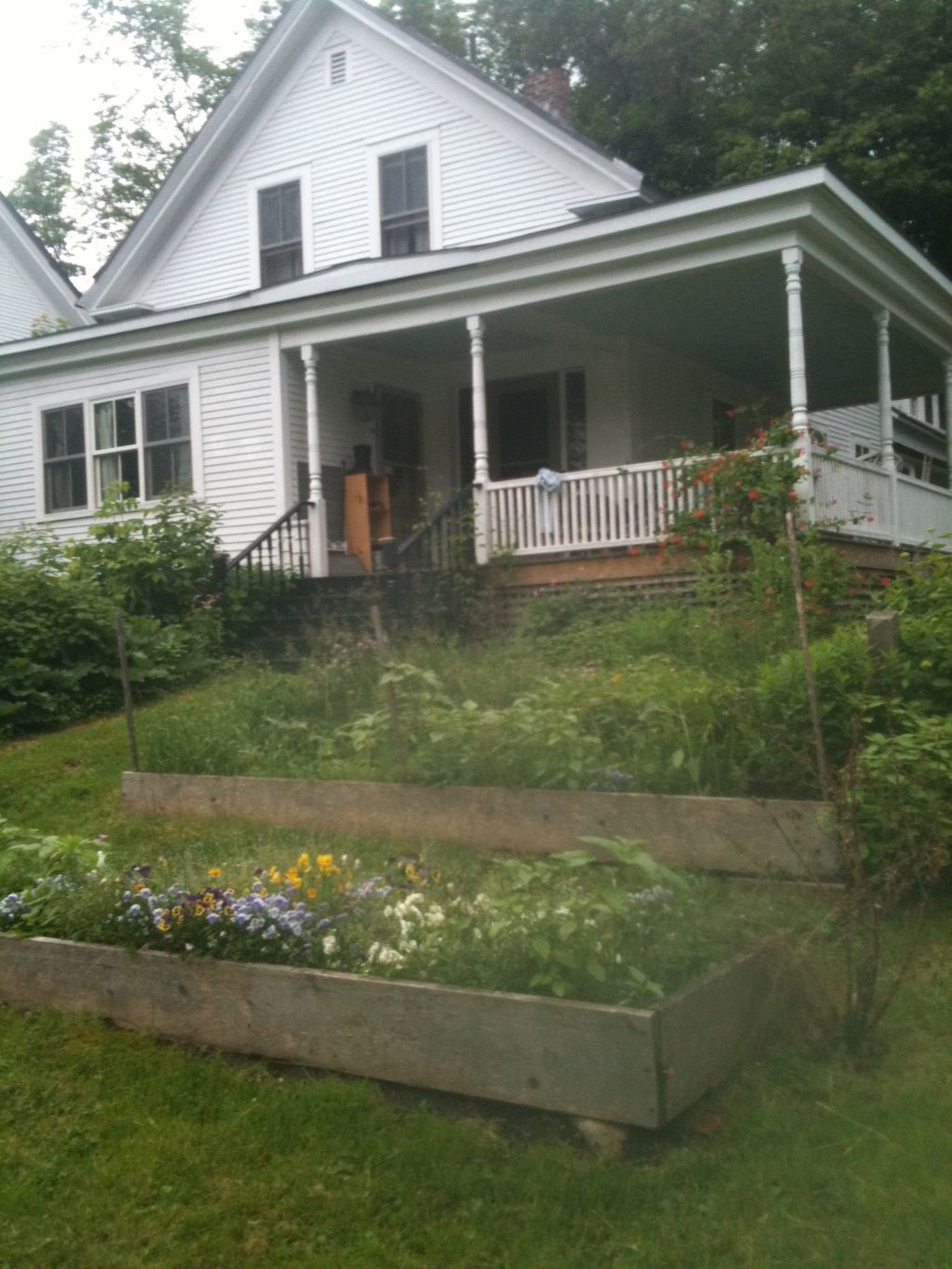 country farmhouse in downtown Montpelier
