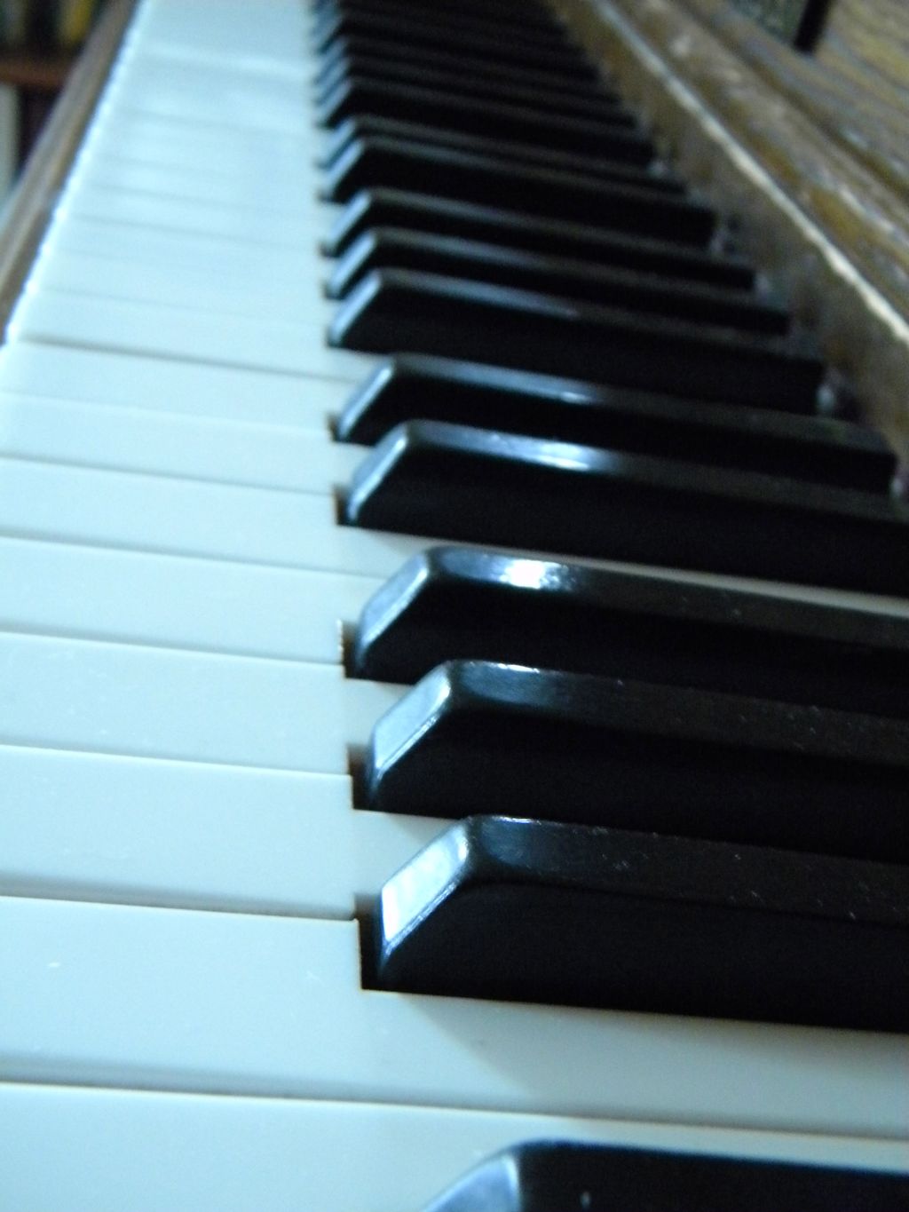 New England Studio of Music