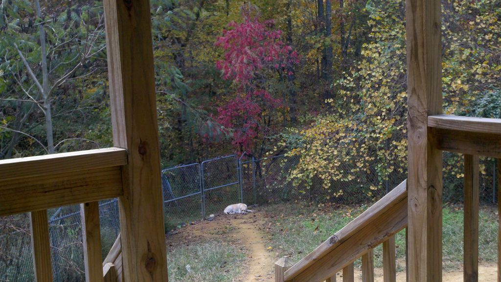 View from the back deck, showing part of he large 