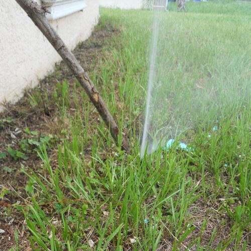 Some home inspectors don't inspect irrigation syst