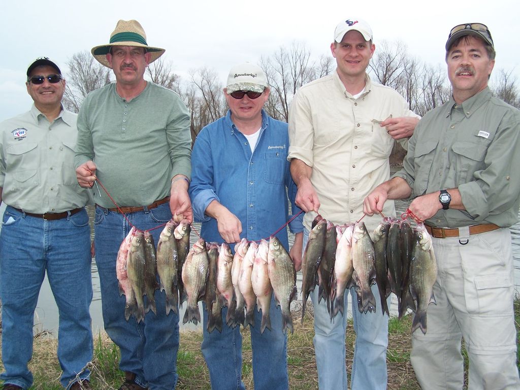 Lake Livingston spring White Bass Run