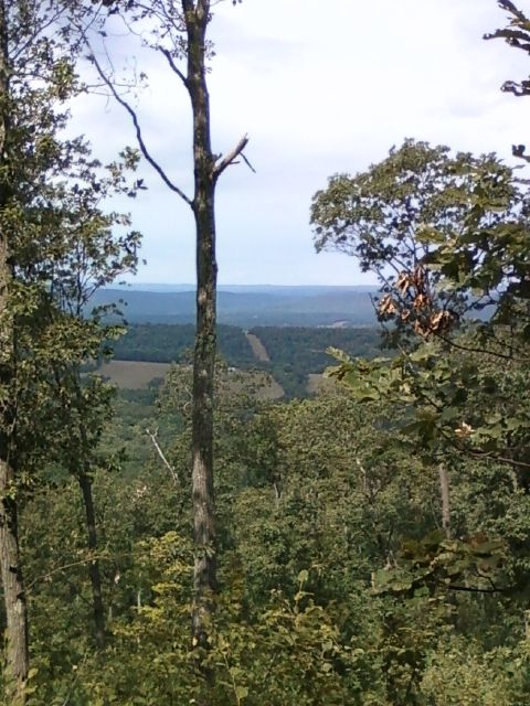 RTF Surveying the Mason Dixon Line