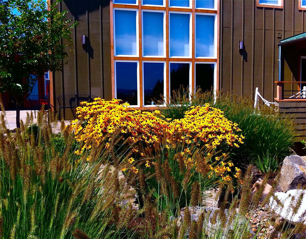 Winery in the Portland Metro Area