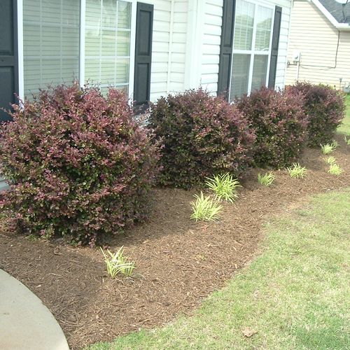 Fresh Mulch Adds the Curb Appeal Necessary to Sell
