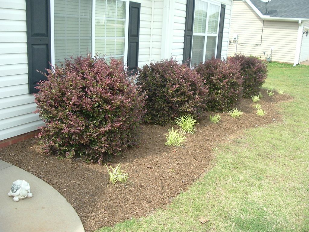 Fresh Mulch Adds the Curb Appeal Necessary to Sell