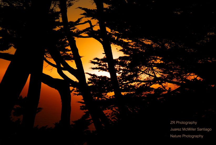San Francisco Sunset
