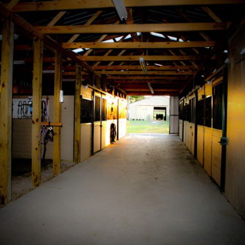inside one of the three barns.  We keep our barns 