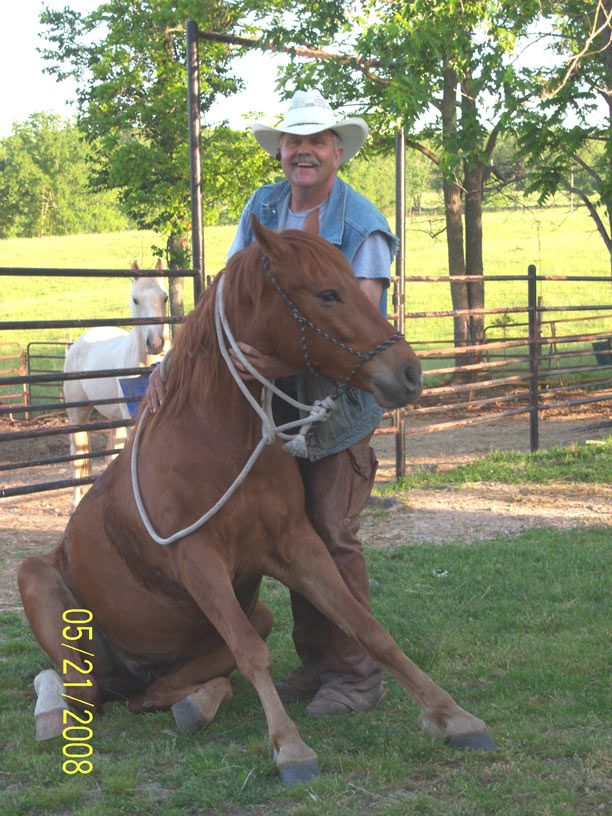 Bucks And Spurs Guest Ranch