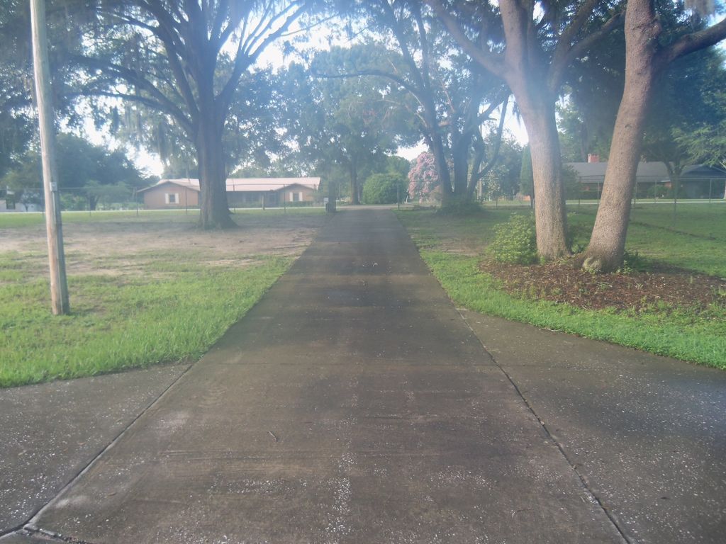 Driveway Before