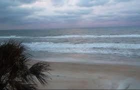 Welcome to Volusia County!