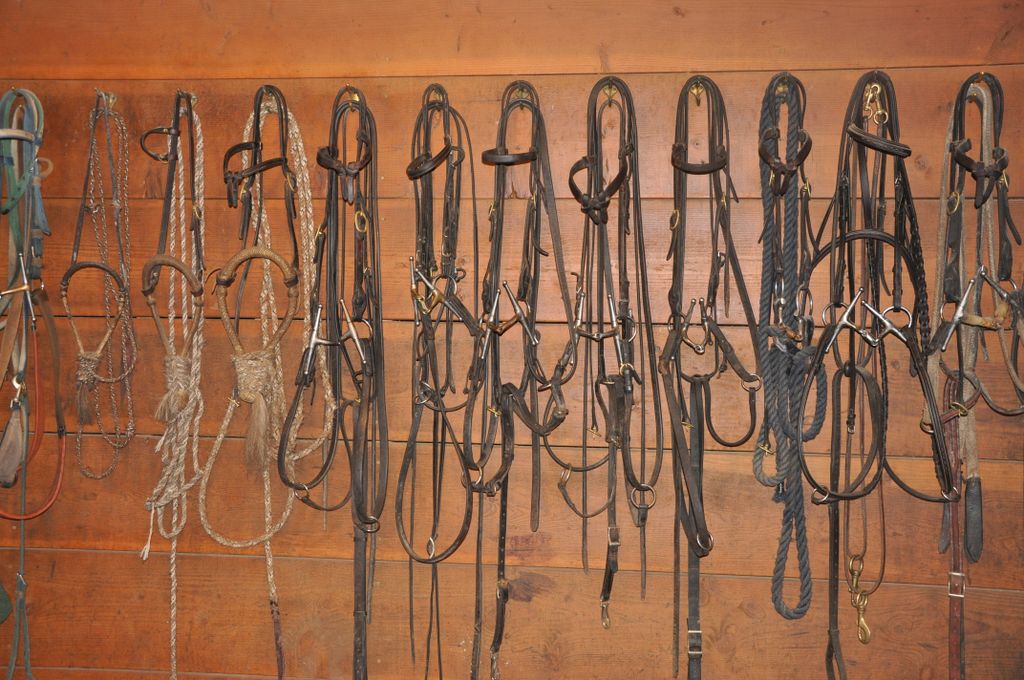 Bridle Wall