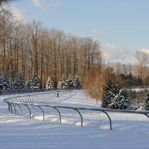 Race Track in Winter