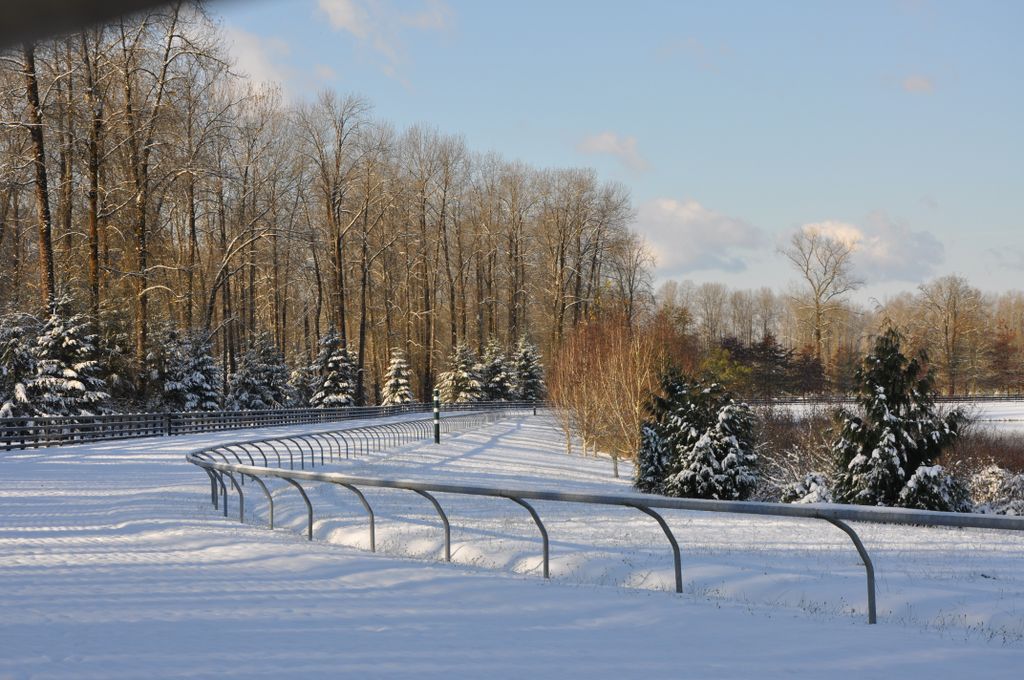 Race Track in Winter