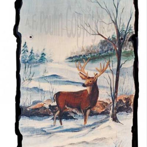 Maine Deer: Walking, snowshoeing, cross country sk