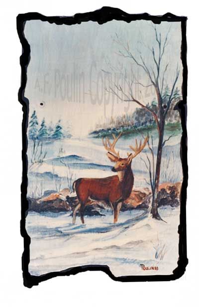 Maine Deer: Walking, snowshoeing, cross country sk