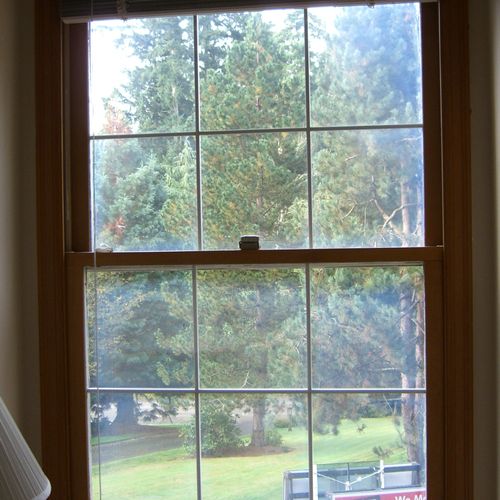 Weathervane Wood Window, double hung. Typical blue