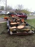 We'll  not only cut down the tree, we ll haul away