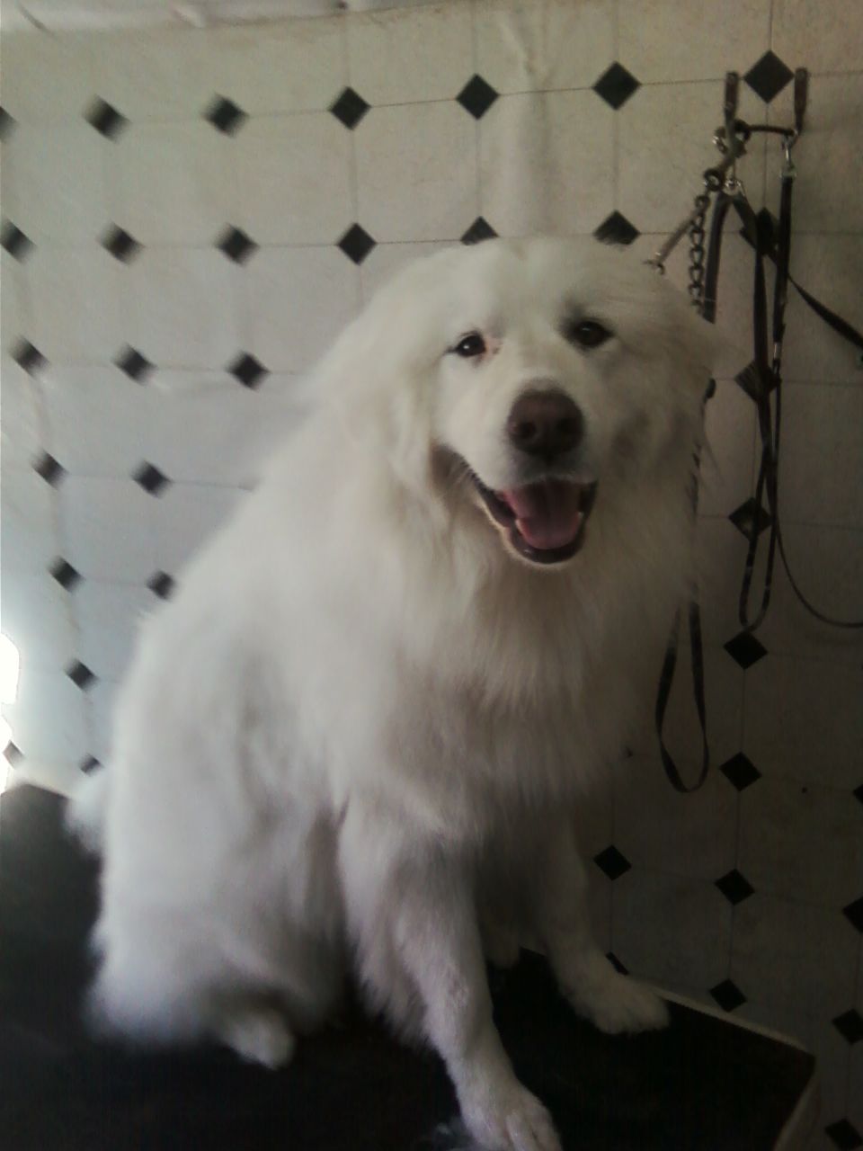 To the large..............