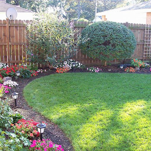 Back yard spring clean up and landscaping- custome