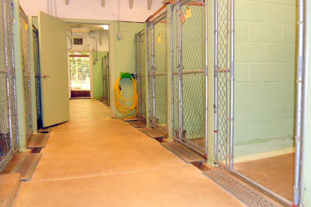 Our Kennel from the front door. Only 19 Individual