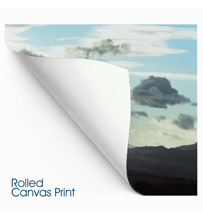 Rolled Canvas - great for artists who do their own