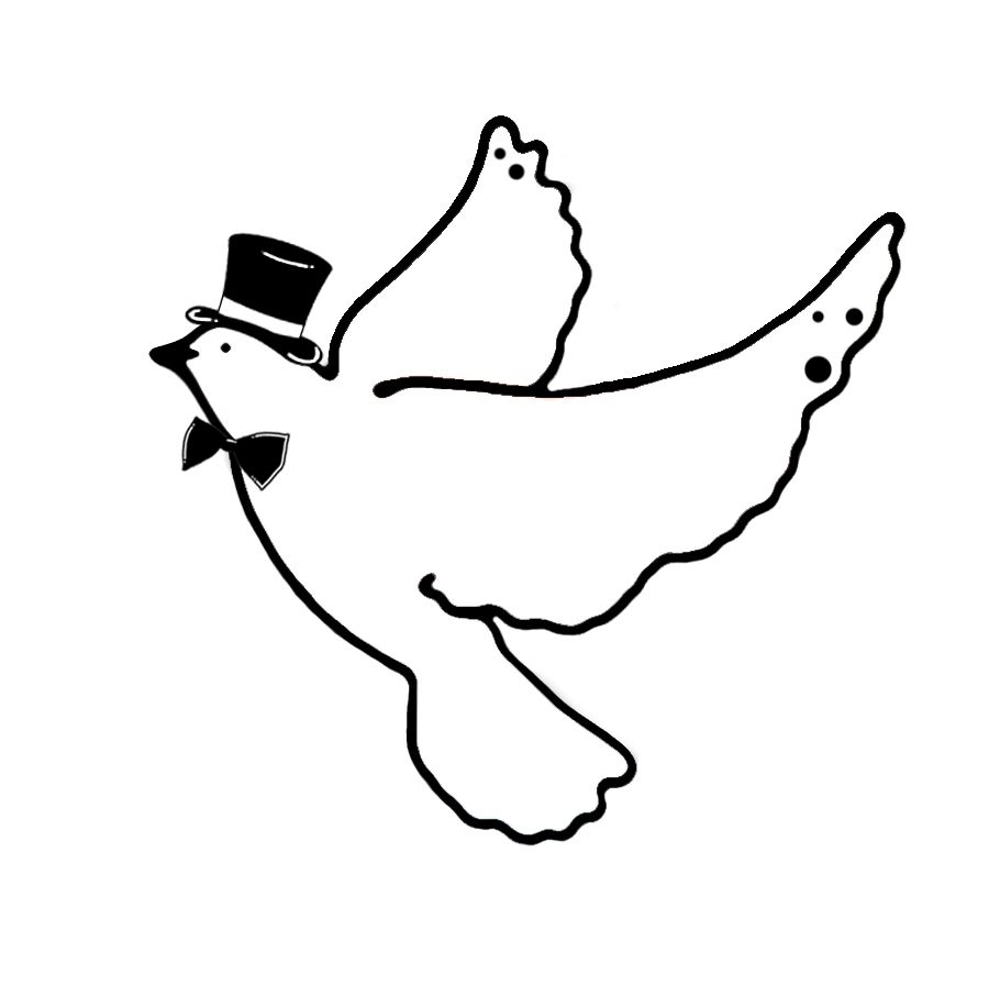 Magic Dove