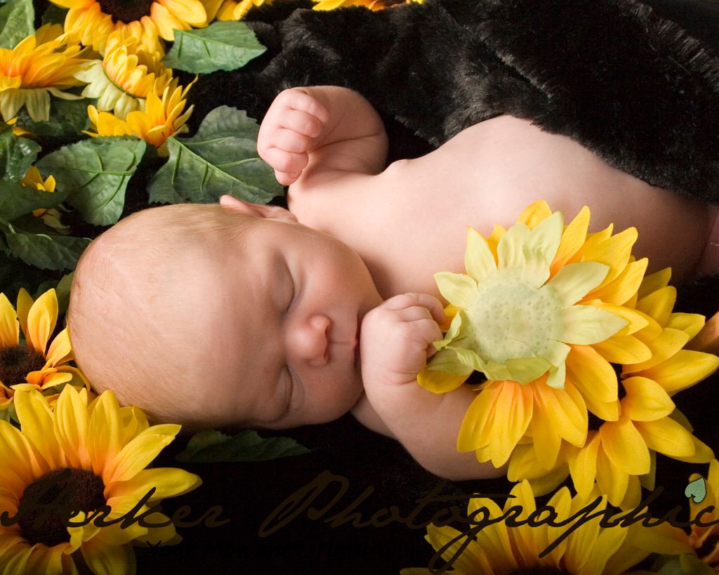 Baby Photography