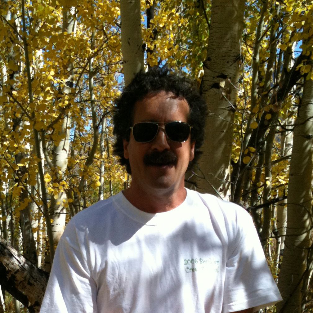 Crested Butte, CO Aspen Grove