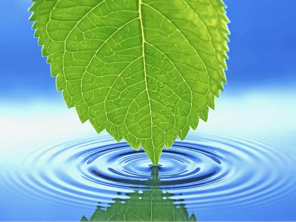 Everything we do in this lifetime sends ripples ac