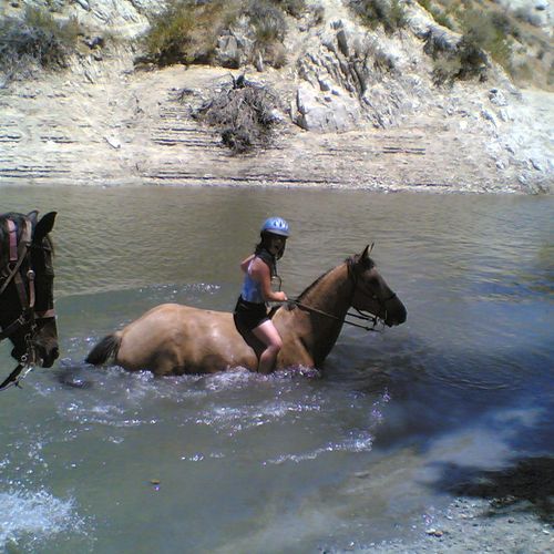 Lake rides and riding in the water with your horse