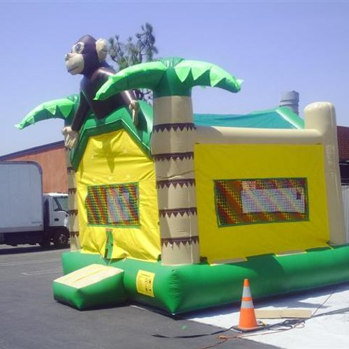 Jungle Jump House and more