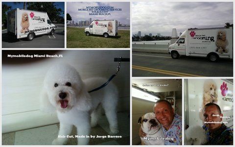 We ARE NOT a pet grooming franchise; we are locall
