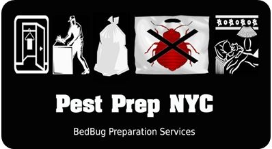 Bed Bug Pest Prep NYC