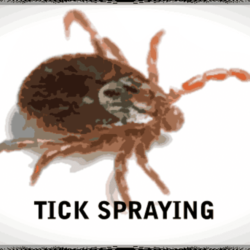 Tick Spraying & Pest Control in Andover, Ballardva