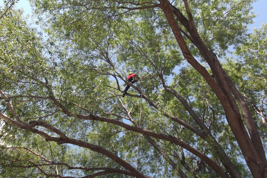 Tip weight reduction to prevent structural failure