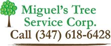 Miguel's Tree Service Corp.