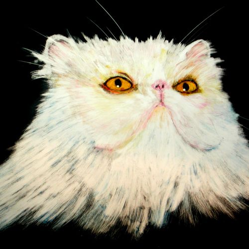 "Ceasar" Pet Portrait (Scratchbord) by Katherine M