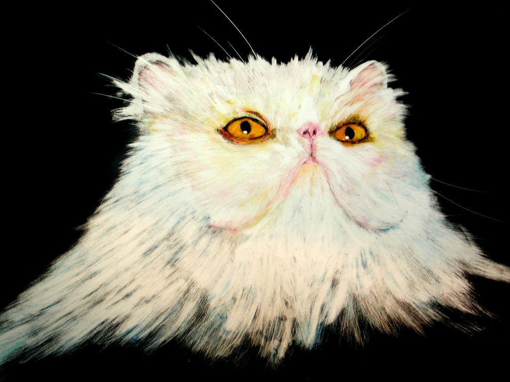 "Ceasar" Pet Portrait (Scratchbord) by Katherine M