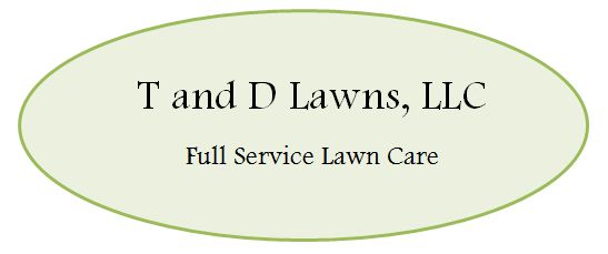 T and D Lawns LLC