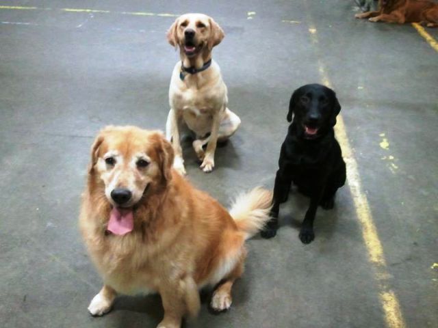 Getting ready for another activity - Play Ball!