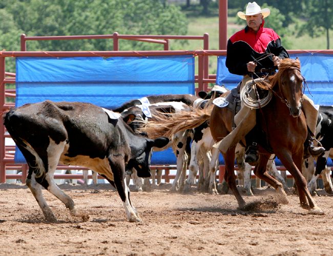 The thrill of cutting with a good horse.