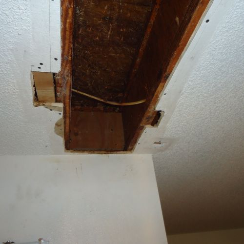 Repairing bee hive damage in ceiling with popcorn 