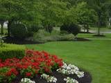 We not only take care of your lawn, we also do a l