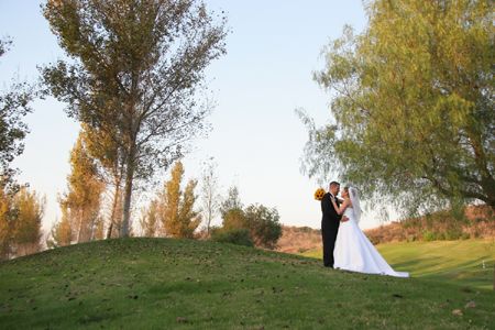 Photographs on the hillside